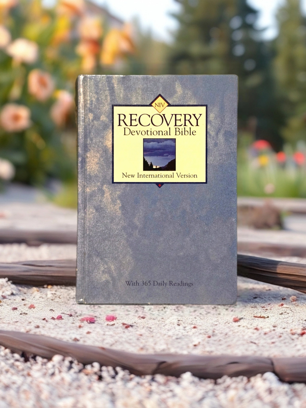 "NIV Recovery Devotional Bible" - Hardcover - Like-New